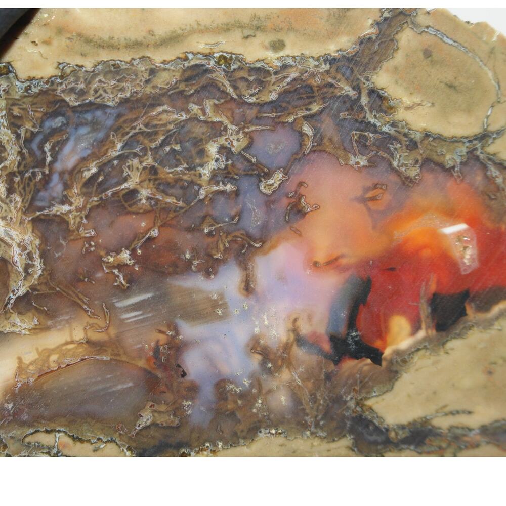 2.00oz Oregon Thunderegg Half Cut Face Old Stock Vintage Collection Natural Raw